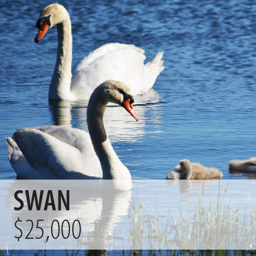 *Swan $25,000