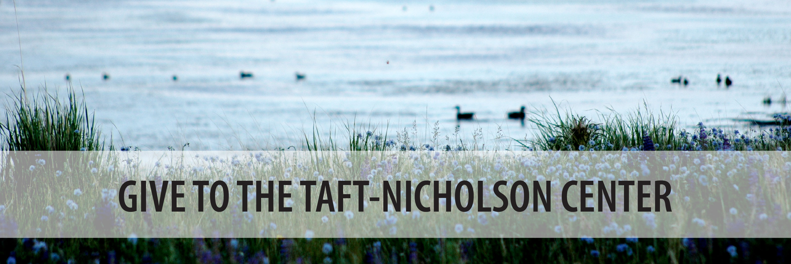 Give to the Taft-Nicholson Center