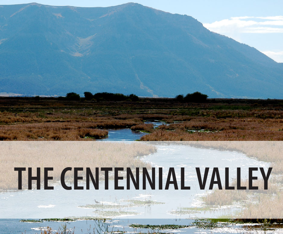 The Centennial Valley