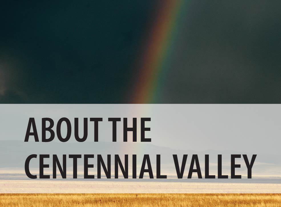 About the Centennial Valley