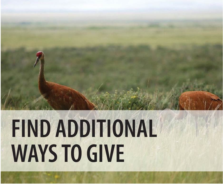 Find Additional Ways to Give