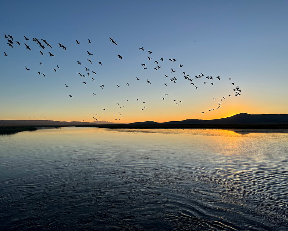 Sunset over a mountain lake with birds flying overhead located by the Taft Nicholson Center